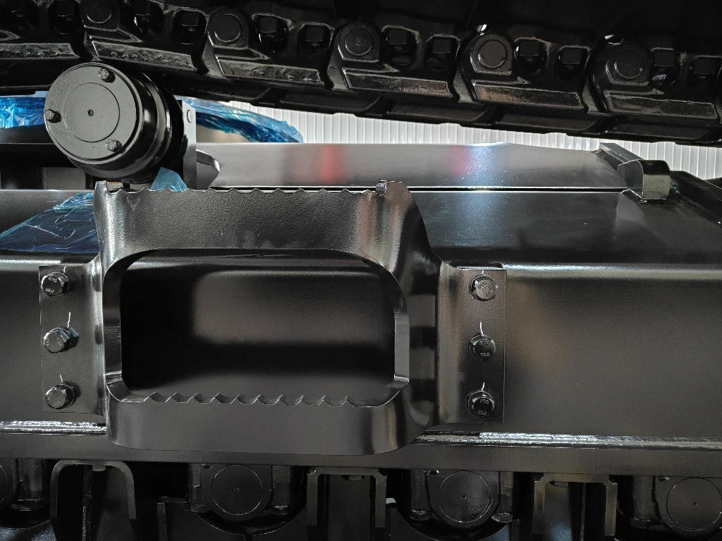Chassis step and guard detail